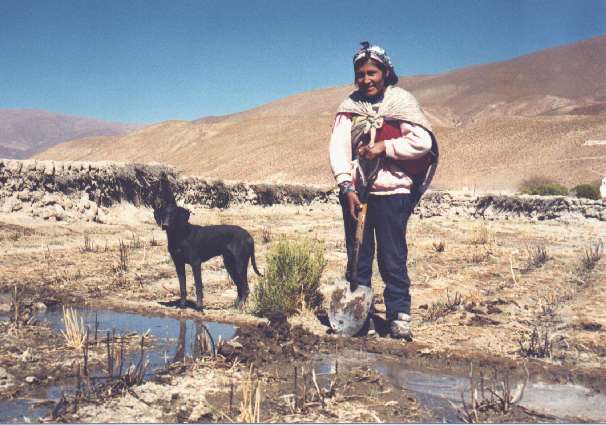 Paolina Alancahi